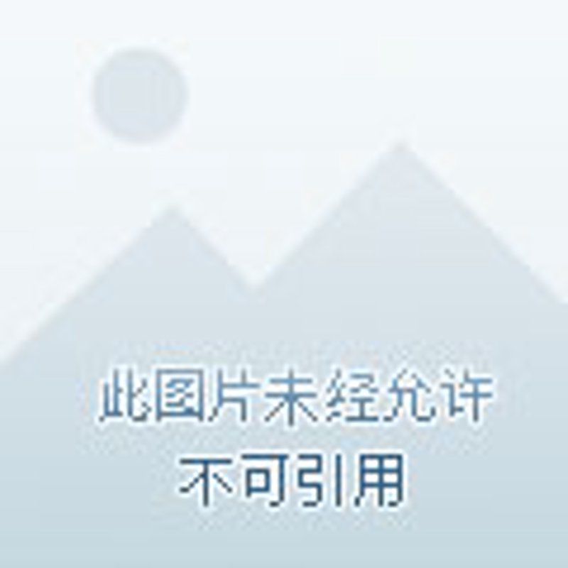 工程服务费:是“智商税”还是专业价值的必然体现?